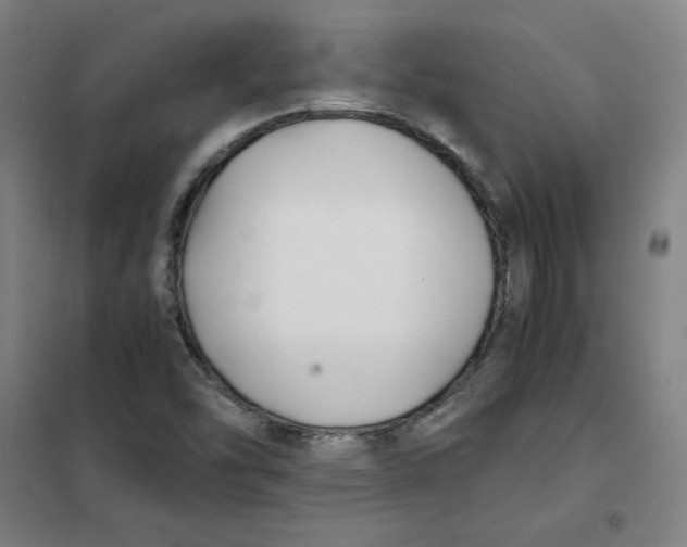 X0000101411454200808041053