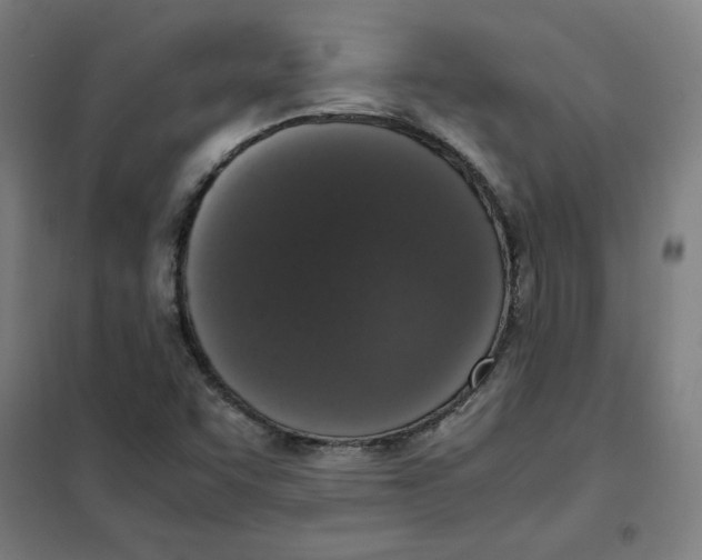 X0000101411455200808041053