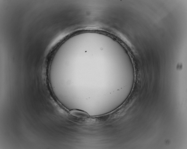 X0000101411456200808041053