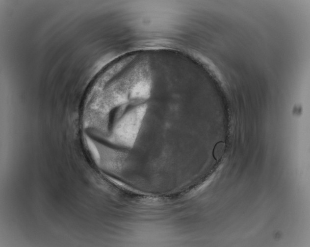 X0000101411457200808041053