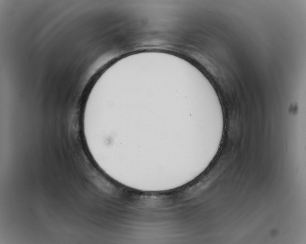 X0000101411458200808041053