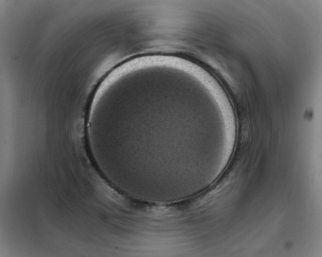 X0000101411459200808041053