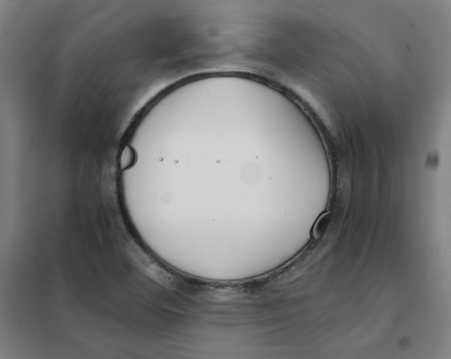 X0000101411460200808041053