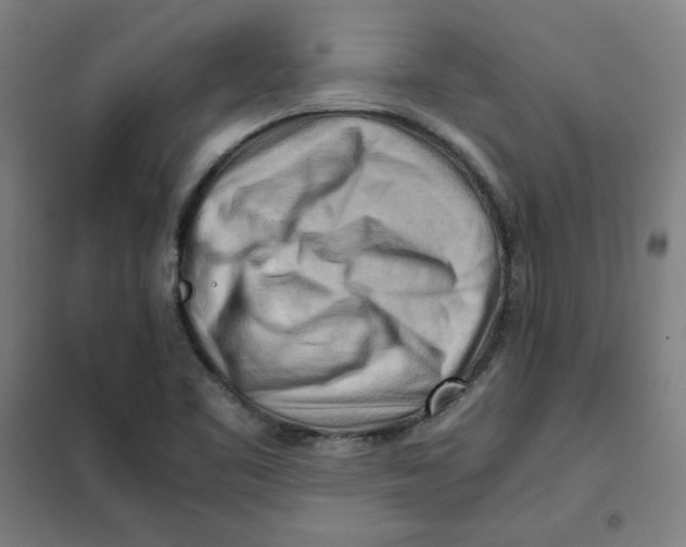 X0000101411461200808041053