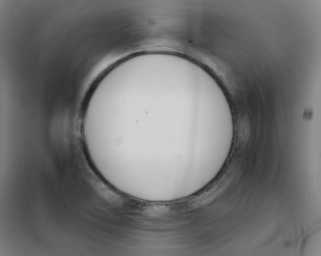 X0000101411462200808041053