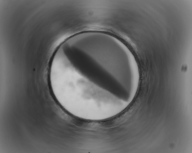 X0000101411463200808041053