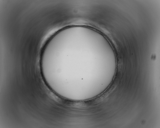 X0000101411464200808041053