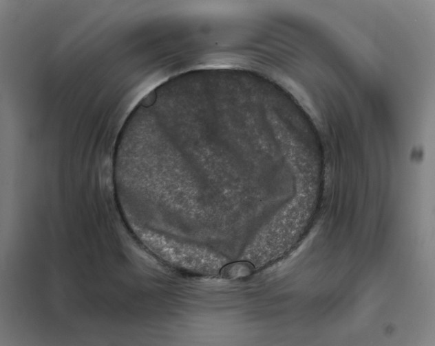 X0000101411465200808041053