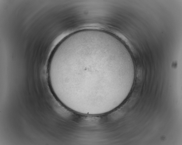 X0000101411466200808041053