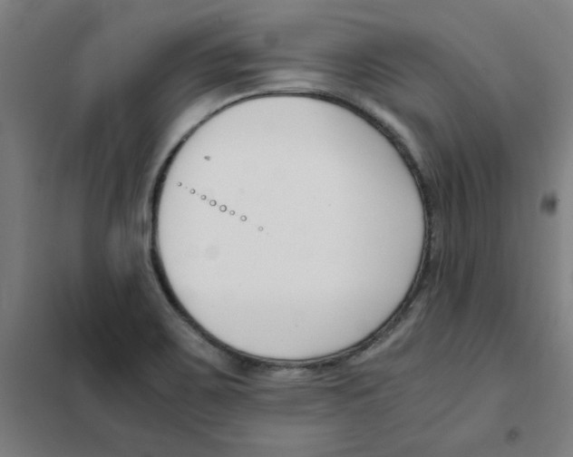 X0000101411467200808041053