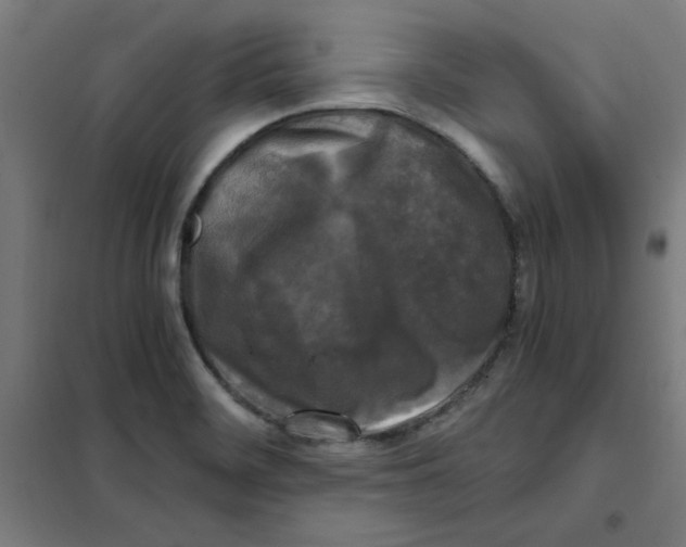 X0000101411468200808041053