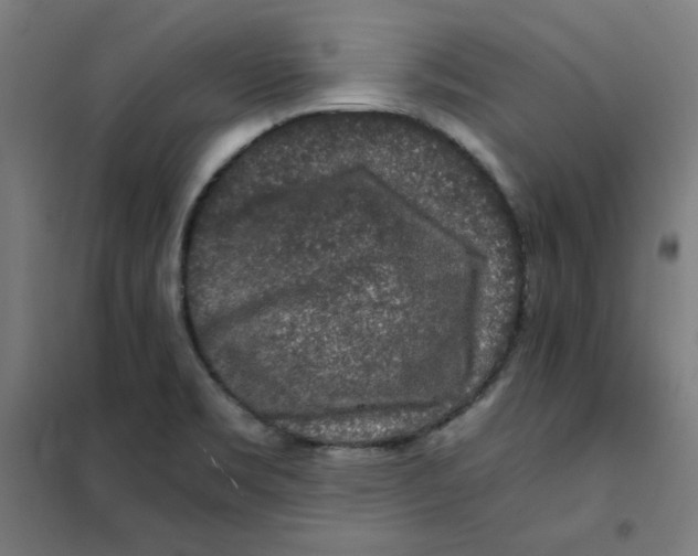 X0000101411469200808041053