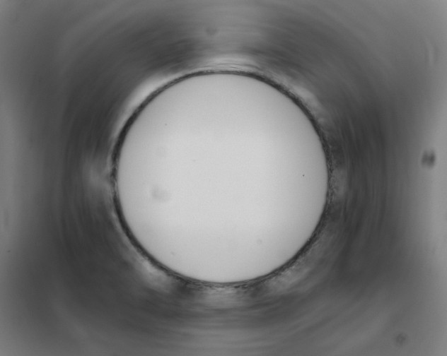 X0000101411470200808041053
