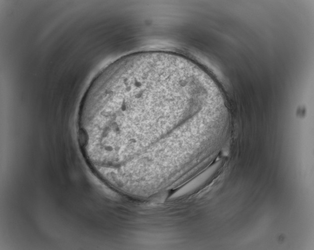 X0000101411471200808041053