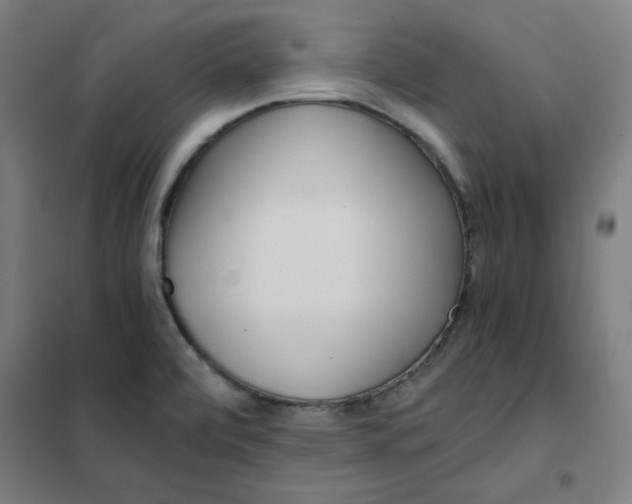 X0000101411472200808041053