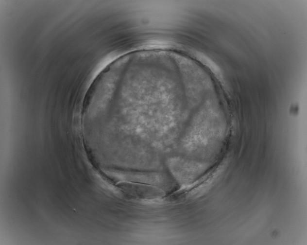 X0000101411473200808041053