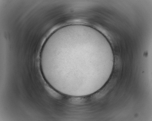 X0000101411474200808041053