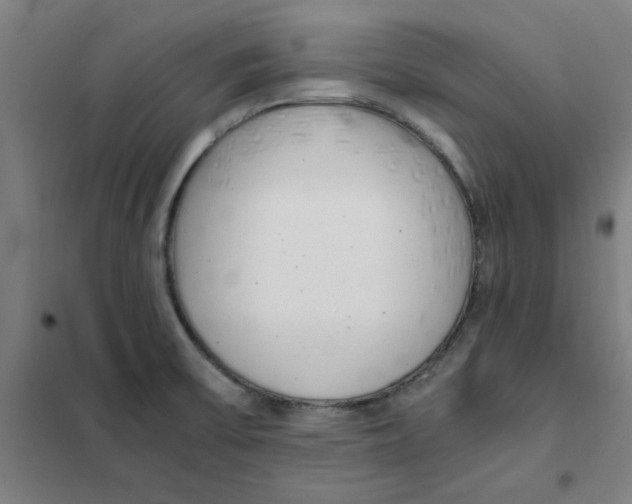 X0000101411475200808041053