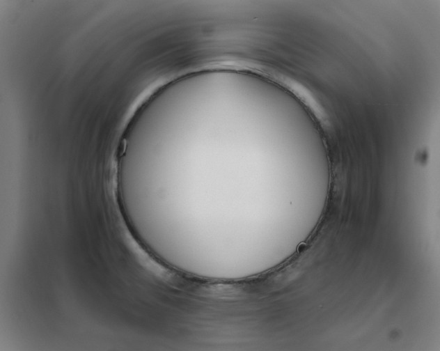 X0000101411476200808041053