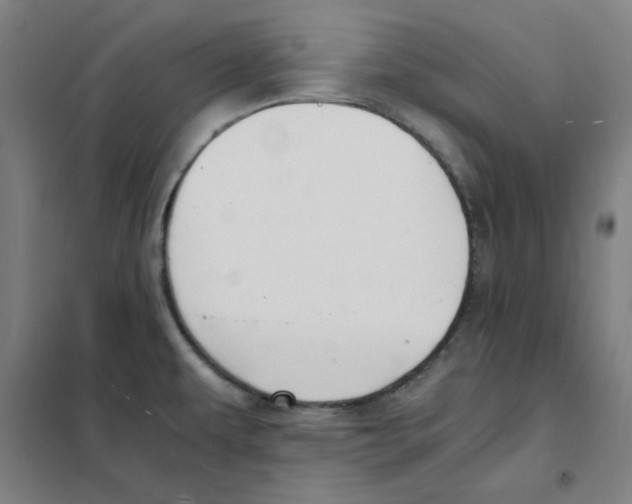 X0000101411479200808041052