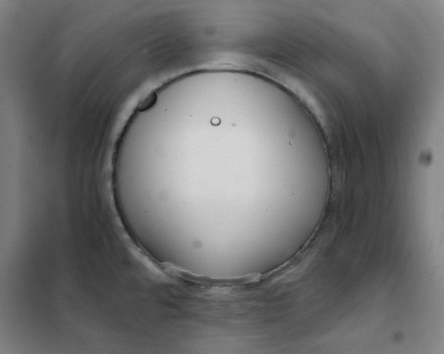X0000101411480200808041052