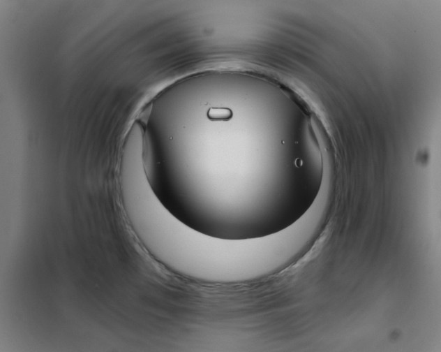 X0000101411481200808041052