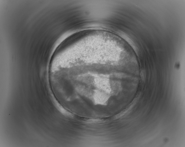 X0000101411482200808041052