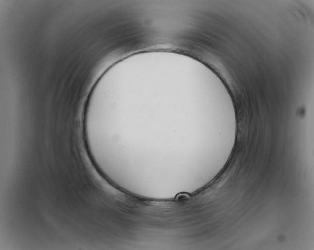 X0000101411483200808041052