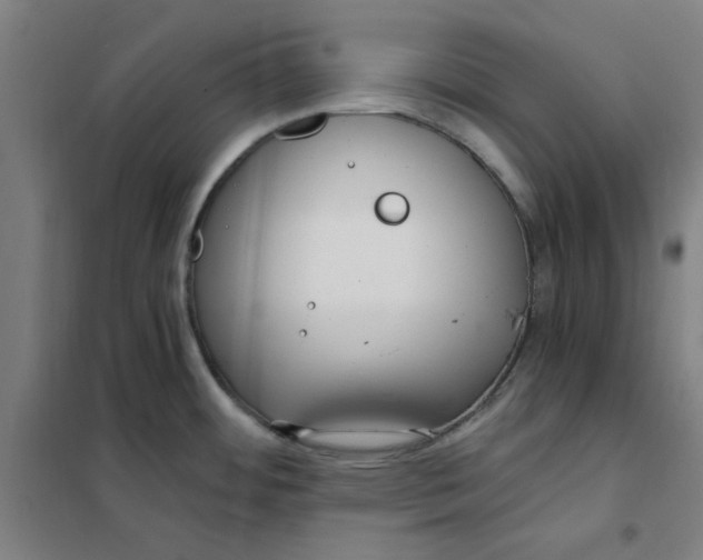 X0000101411484200808041052