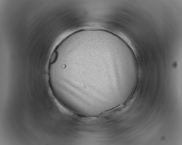X0000101411485200808041052
