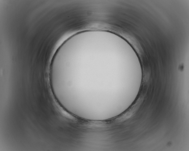 X0000101411486200808041052