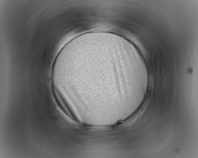 X0000101411487200808041052