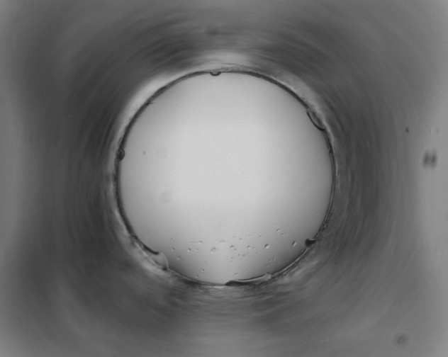 X0000101411488200808041052