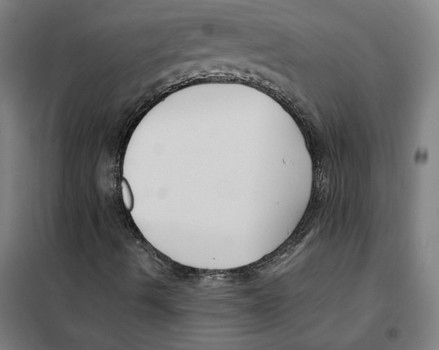 X0000101411490200808041052