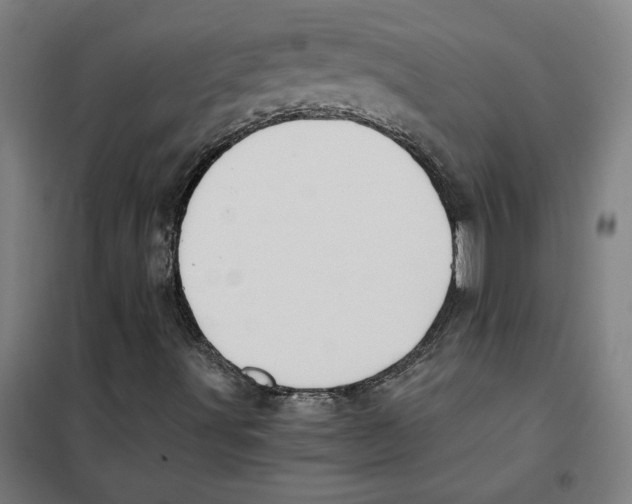 X0000101411491200808041052