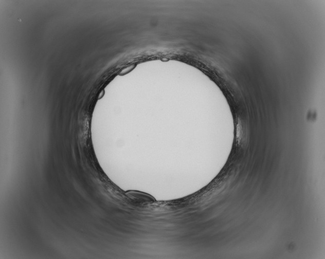 X0000101411492200808041052