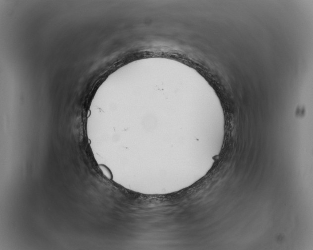 X0000101411493200808041052