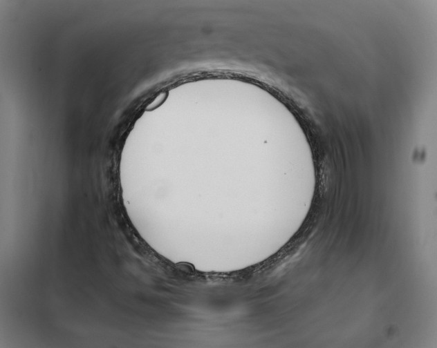 X0000101411494200808041052