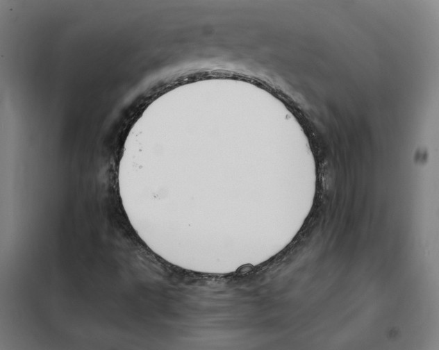 X0000101411495200808041052