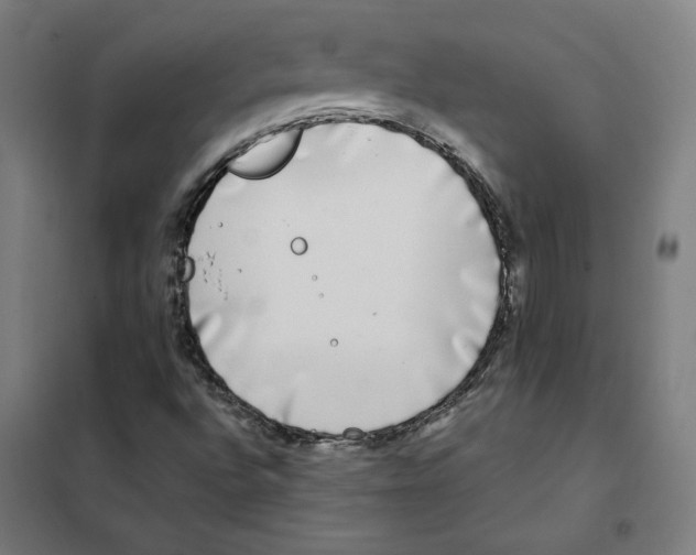 X0000101411496200808041052