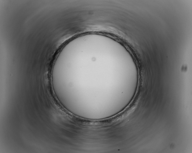 X0000101411497200808041052