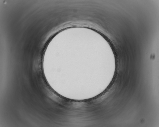 X0000101411498200808041052