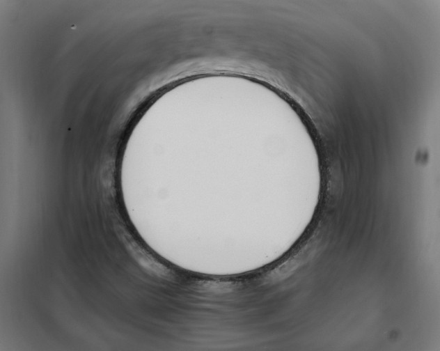 X0000101411499200808041052