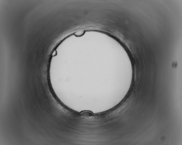 X0000101411500200808041052