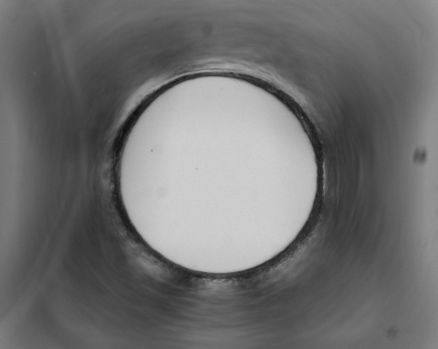 X0000101411501200808041052