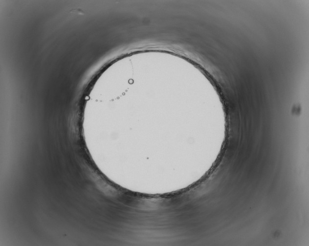X0000101411502200808041052