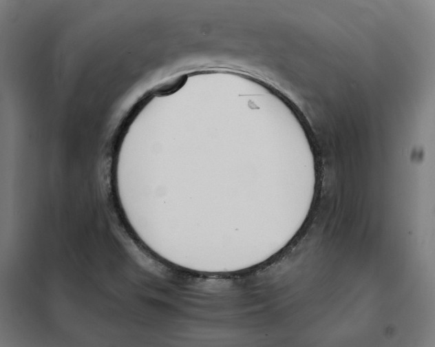X0000101411503200808041052