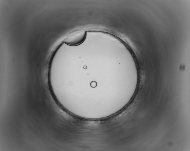 X0000101411504200808041052
