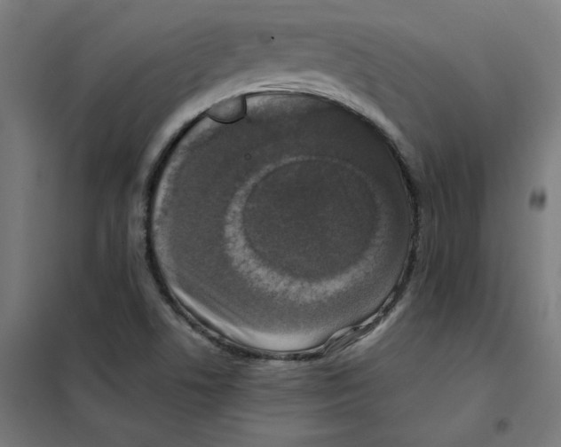 X0000101411506200808041052