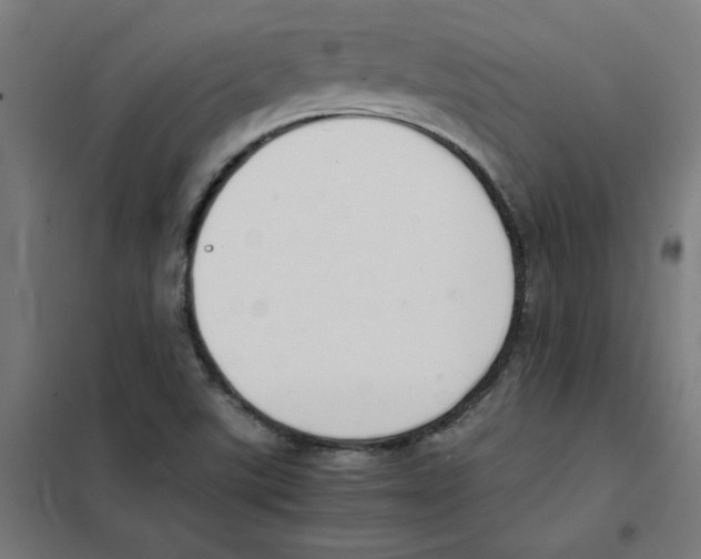 X0000101411507200808041052